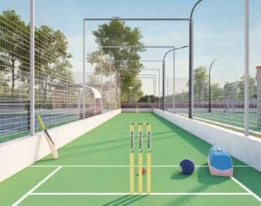 Cricket Pitch