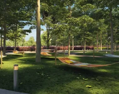 Hammocks