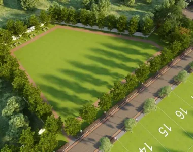 Multipurpose Lawn