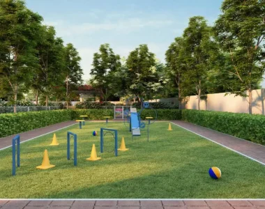 Pet Park